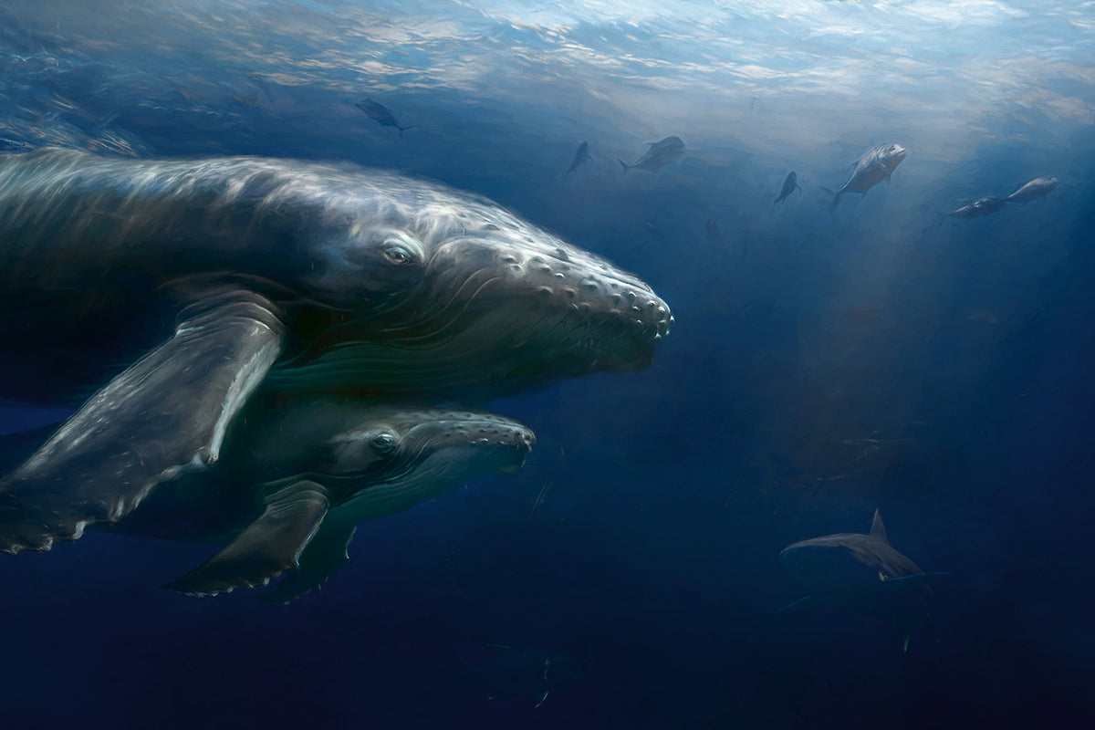 Watchful Eye