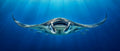 Air Manta